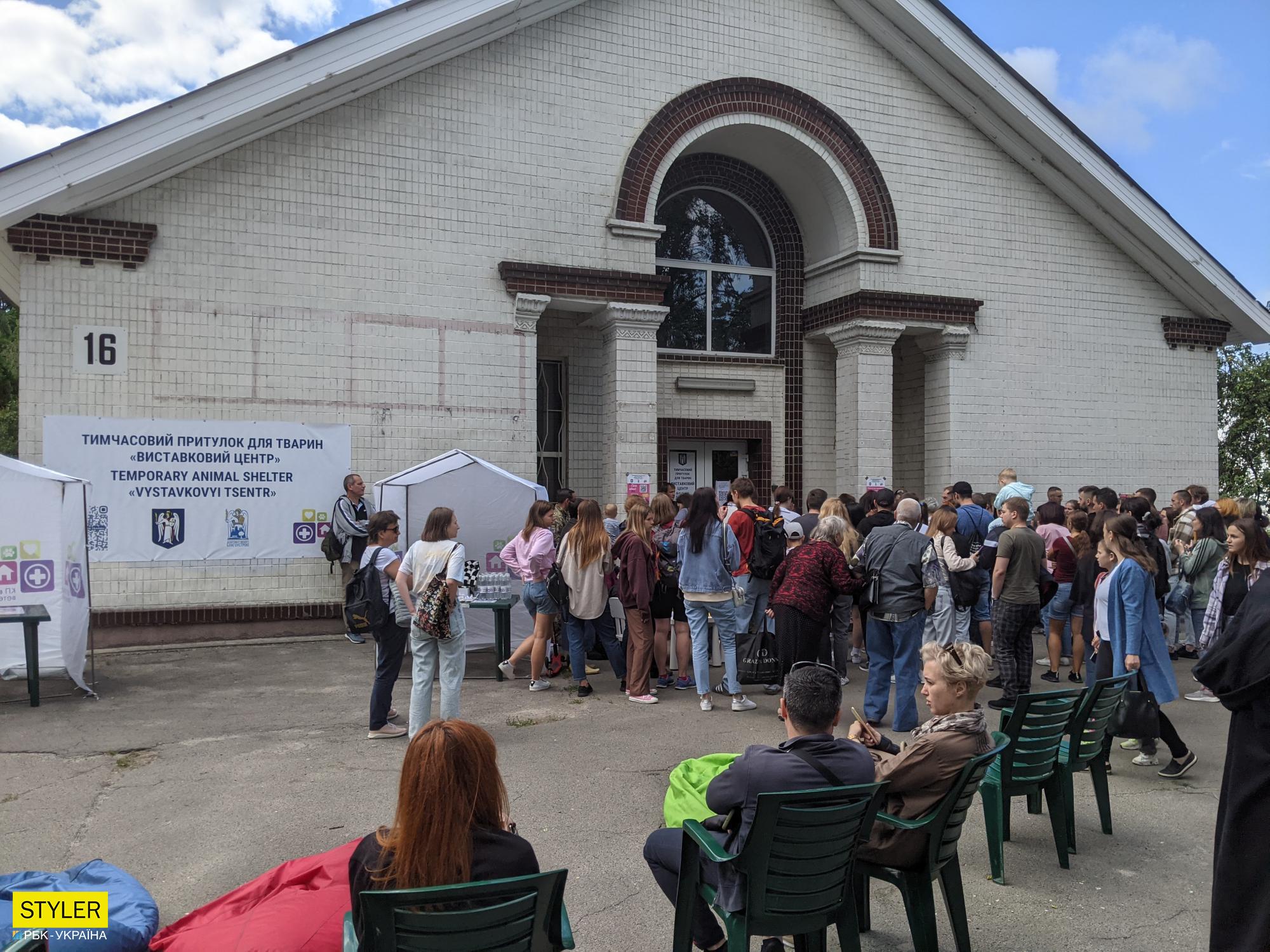 Дочекалася! Собака Майя з притулку проїхала півсвіту назустріч до своїх нових господарів